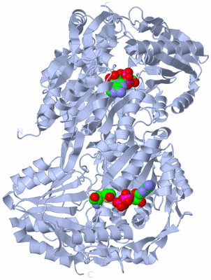 Image Biological Unit 1