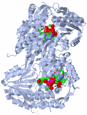 Image Biol. Unit 1 - sites