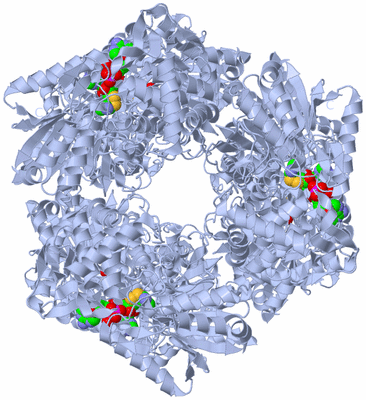 Image Biological Unit 2