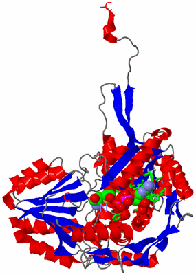 Image Asym. Unit - sites