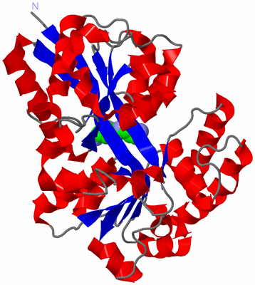 Image Asym./Biol. Unit