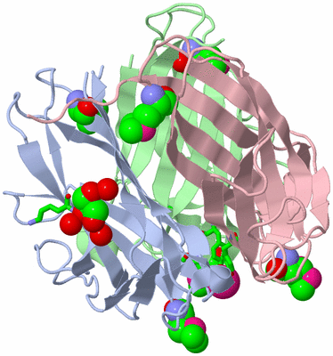 Image Asym./Biol. Unit - sites