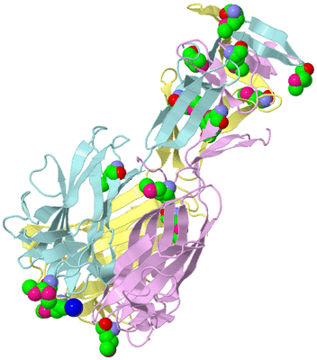 Image Biological Unit 2