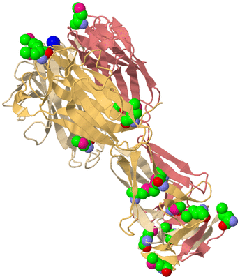 Image Biological Unit 3