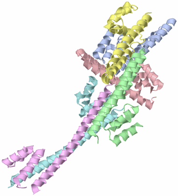 Image Asymmetric Unit