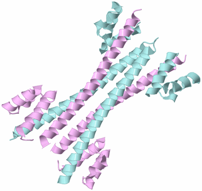 Image Biological Unit 3