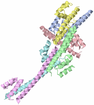 Image Asymmetric Unit