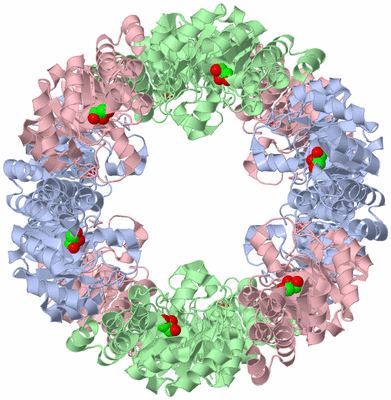 Image Biological Unit 1