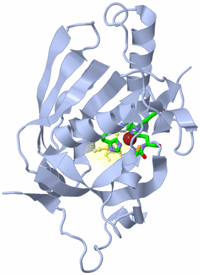 Image Biol. Unit 1 - sites