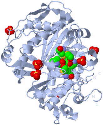 Image Biological Unit 1