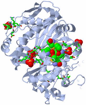 Image Biol. Unit 1 - sites