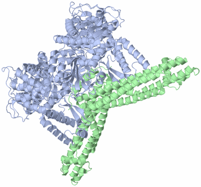 Image Biological Unit 2