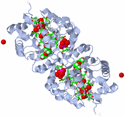 Image Biol. Unit 1 - sites