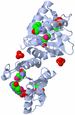 Image Biological Unit 2