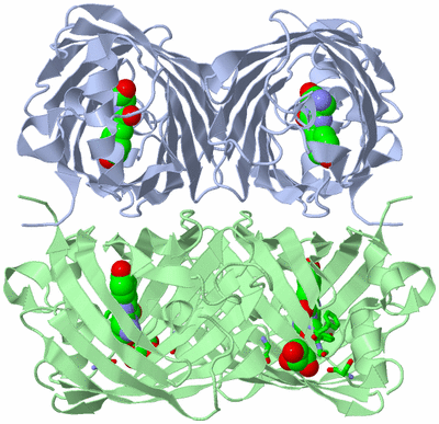 Image Biol. Unit 1 - sites