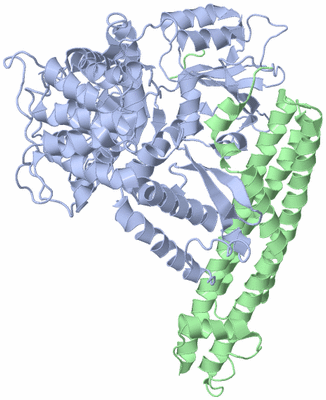 Image Asym./Biol. Unit