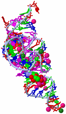 Image Asym./Biol. Unit