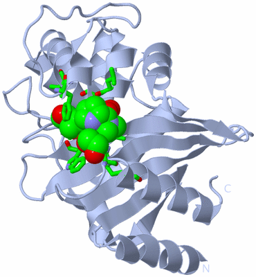 Image Biol. Unit 1 - sites