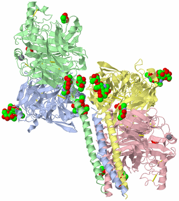 Image Asym./Biol. Unit