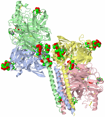 Image Asym./Biol. Unit - sites