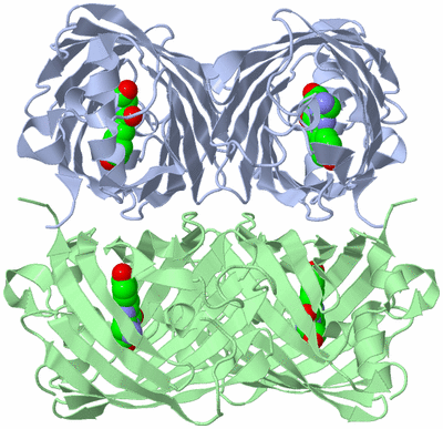 Image Biological Unit 1