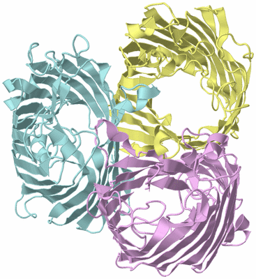 Image Biological Unit 2