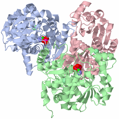 Image Asym./Biol. Unit