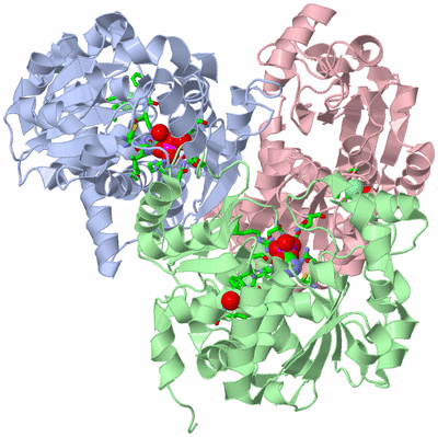 Image Asym./Biol. Unit - sites