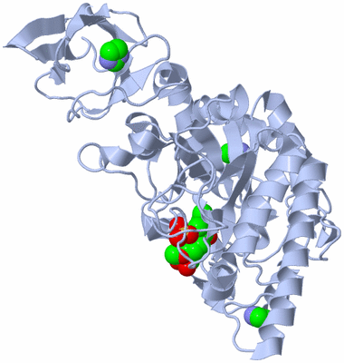 Image Biological Unit 1