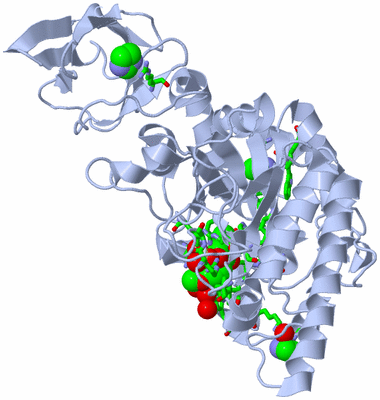 Image Biol. Unit 1 - sites