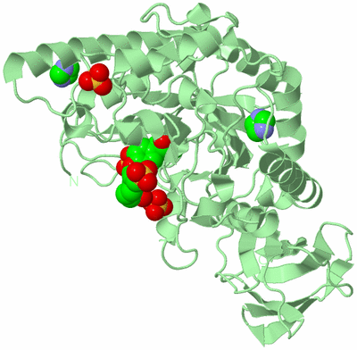 Image Biological Unit 2