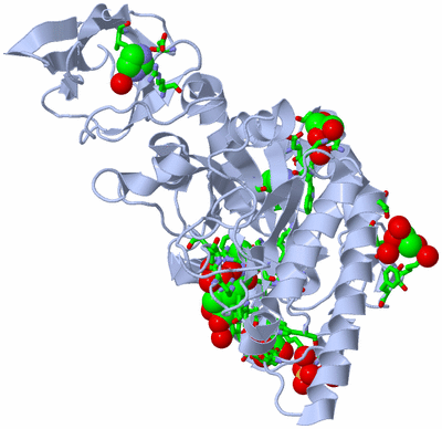 Image Biol. Unit 1 - sites