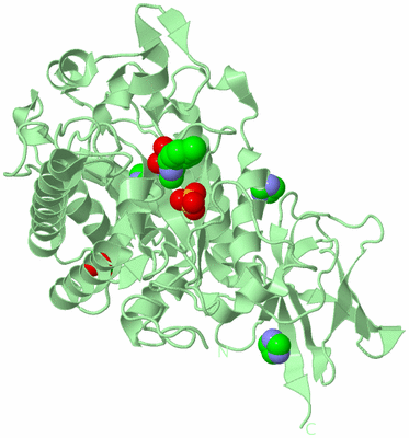 Image Biological Unit 2