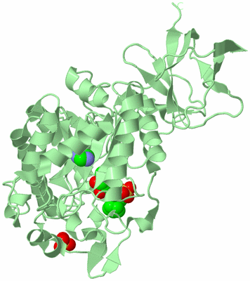 Image Biological Unit 2