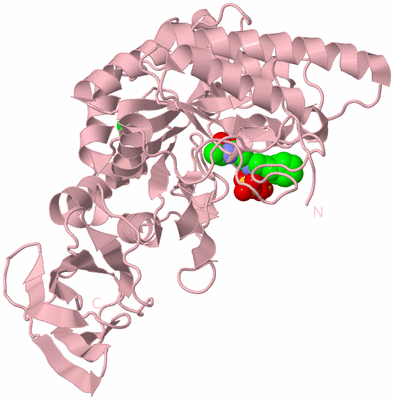 Image Biological Unit 3