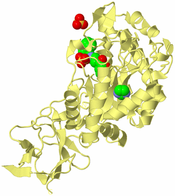 Image Biological Unit 4