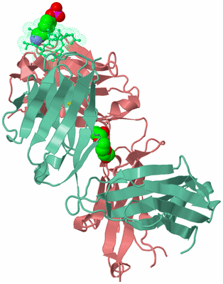 Image Biological Unit 2