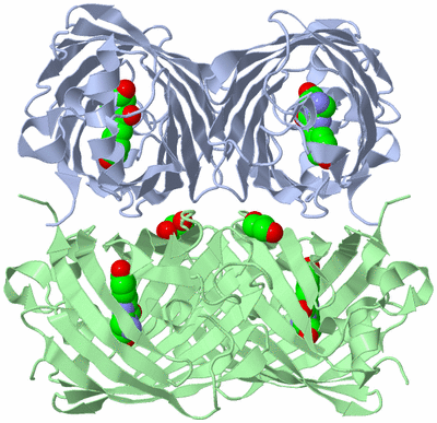 Image Biological Unit 1