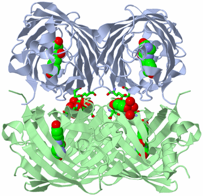 Image Biol. Unit 1 - sites