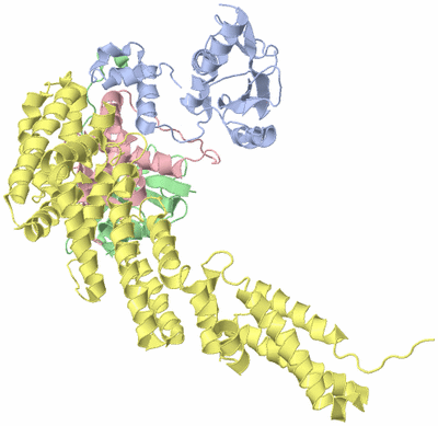 Image Biological Unit 1