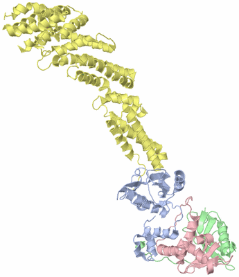 Image Biological Unit 2