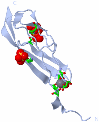 Image Biol. Unit 1 - sites