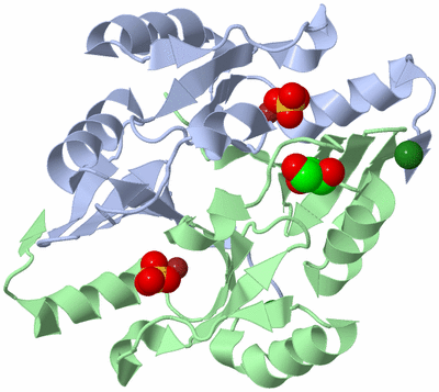 Image Asym./Biol. Unit