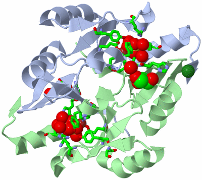 Image Asym./Biol. Unit - sites