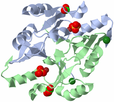 Image Asym./Biol. Unit