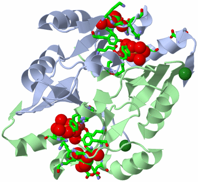 Image Asym./Biol. Unit - sites