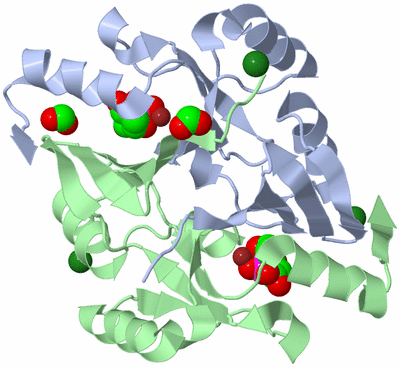 Image Asym./Biol. Unit