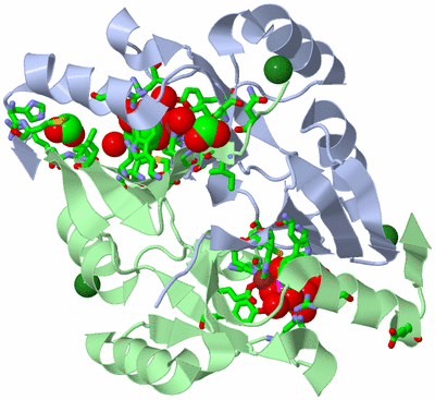 Image Asym./Biol. Unit - sites