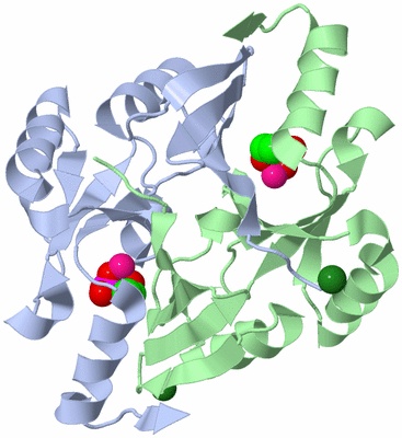 Image Asym./Biol. Unit