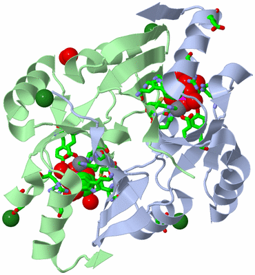 Image Asym./Biol. Unit - sites